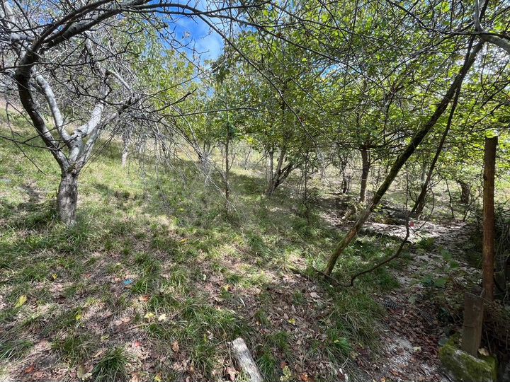 Участок 12 сот. (ИЖС)