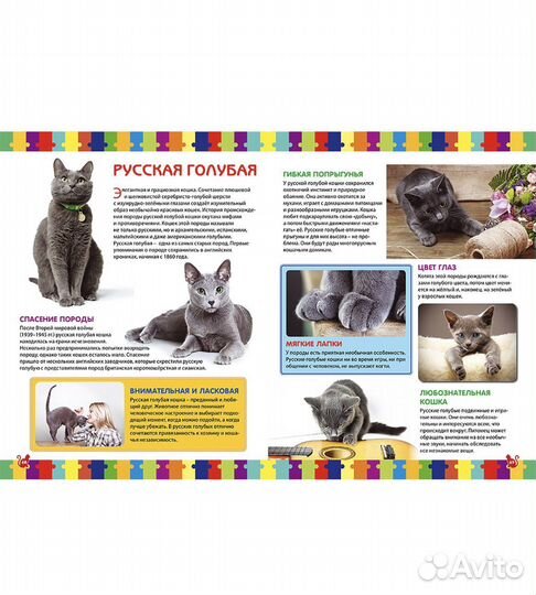 Кошки энциклопедия для детей