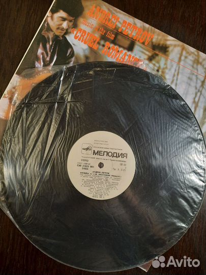 Виниловая пластинка