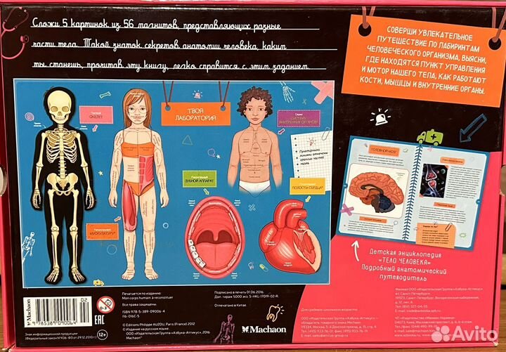 Тело человека детская энциклопедия