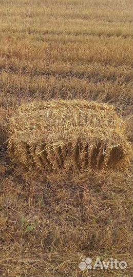 Солома в тюках