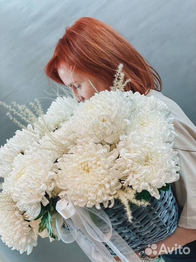 Хризантемы Рибонет