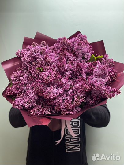 Сирень букет оптом