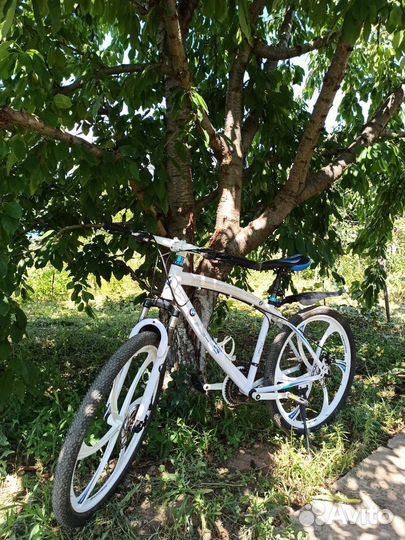 Велосипед горный BMW. Торг
