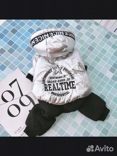 Одежда для собак