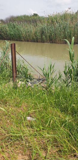 Участок 25 сот. (ИЖС)