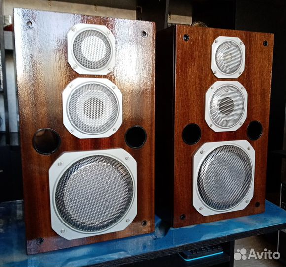 Бриг-001 и колонки Эстония 35ас-021