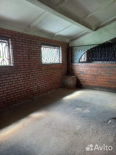 Постой лошадей