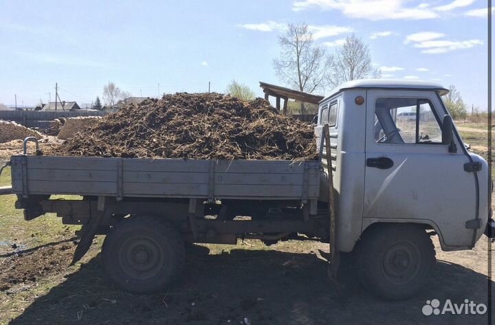 Камаз с коровьим перегноем