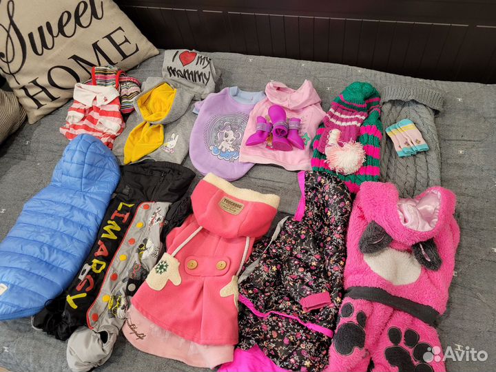 Одежда для собак на доставке