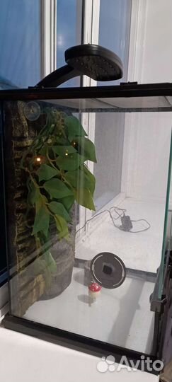 Террариум Exo-Terra