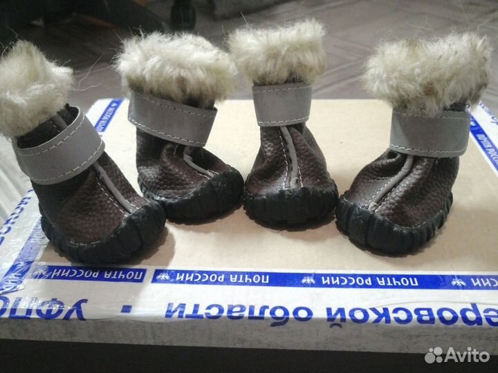 Сапожки для маленькой собачки