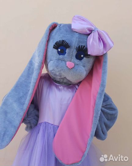 Аренда мишки на праздник