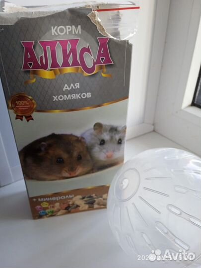 Шар для хомяков джунгариков,корм алиса