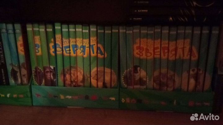 Диски зверята