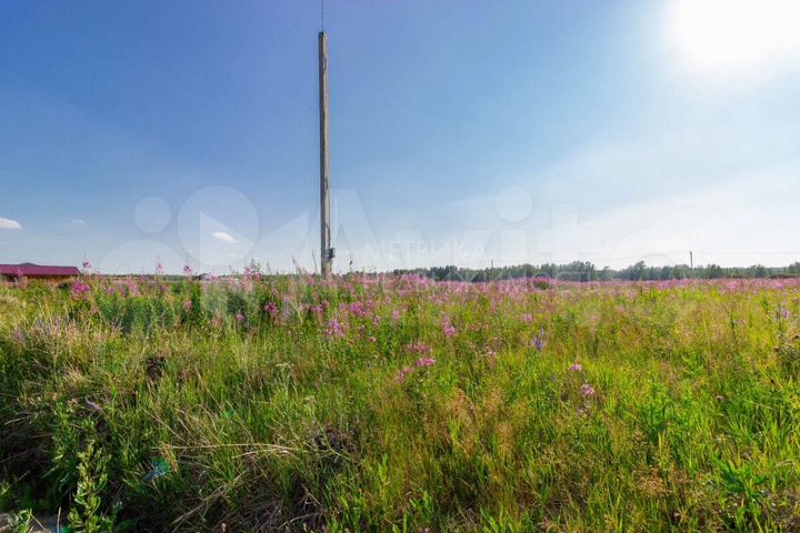 Участок 35 сот. (СНТ, ДНП)