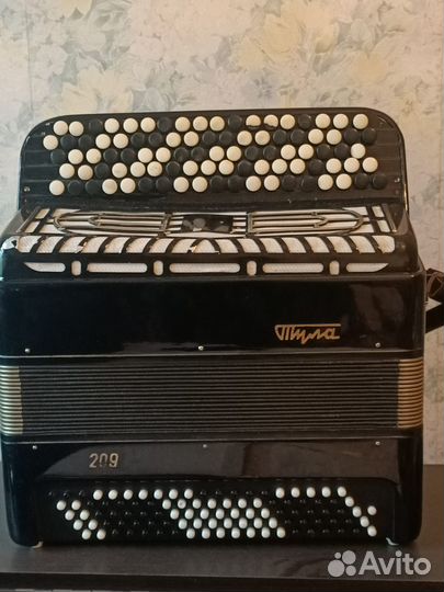 Баян Тула 209