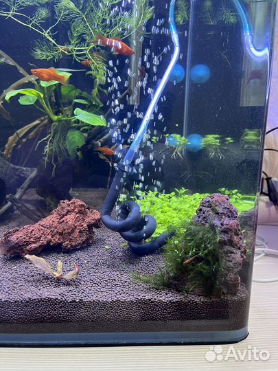 Распылитель для аквариума