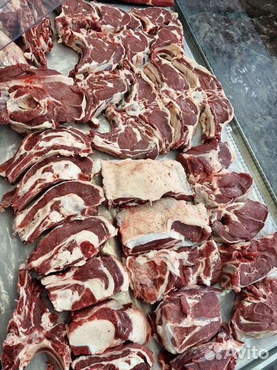 Мясо телятина, баранина