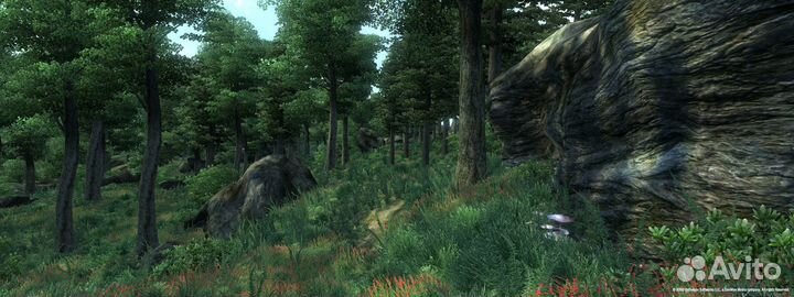 The Elder Scrolls 4: Oblivion - GotY (Steam)