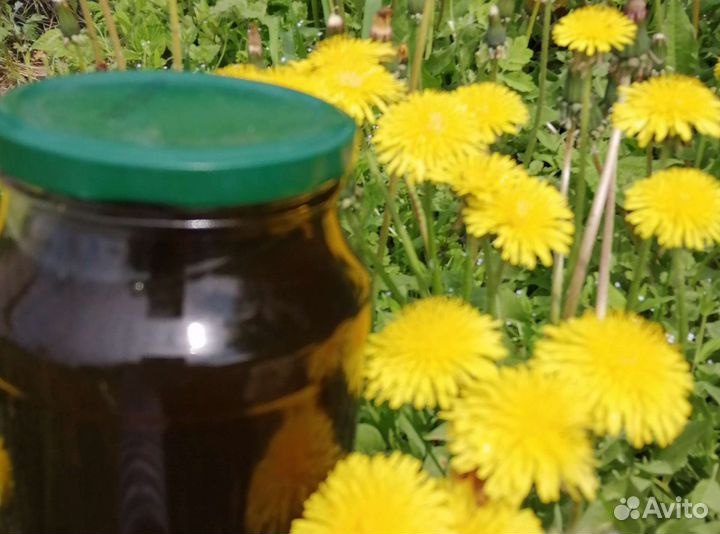 Варенье из одуванчиков (одуванчиковый мед)