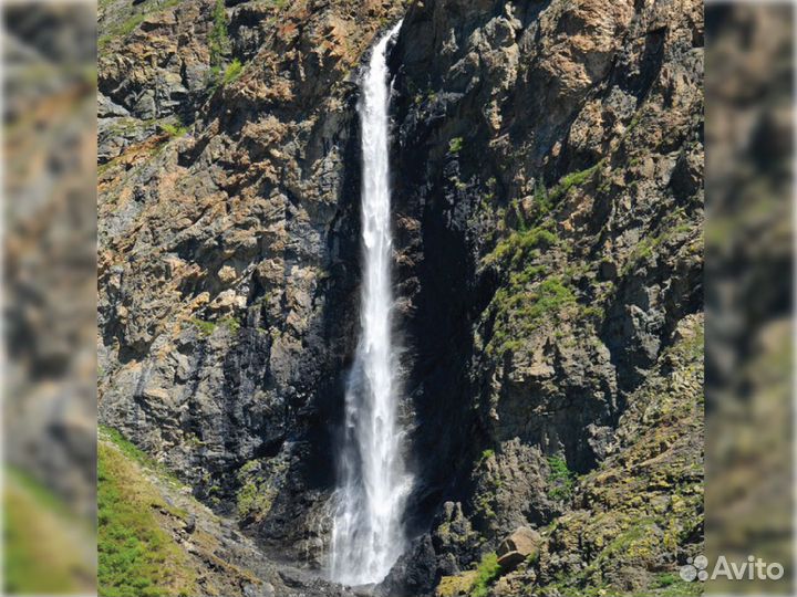 Авторский тур по Алтаю