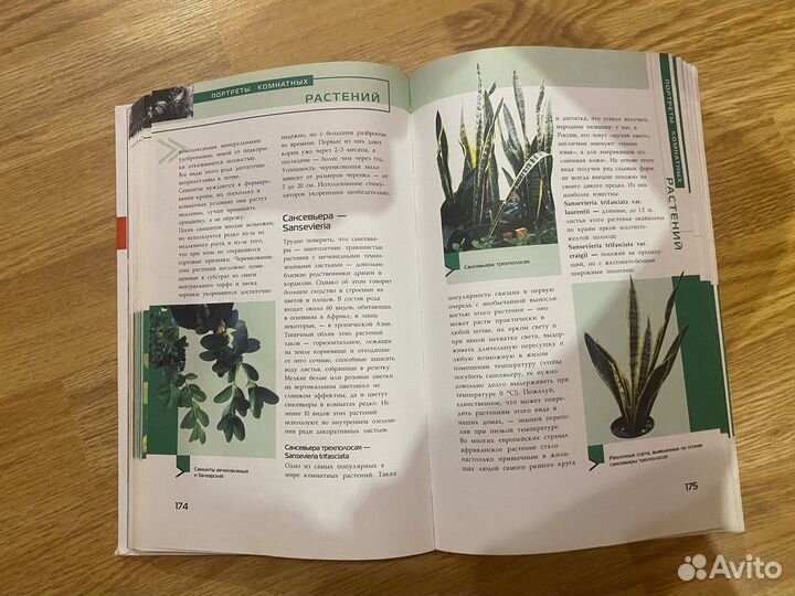 Книга