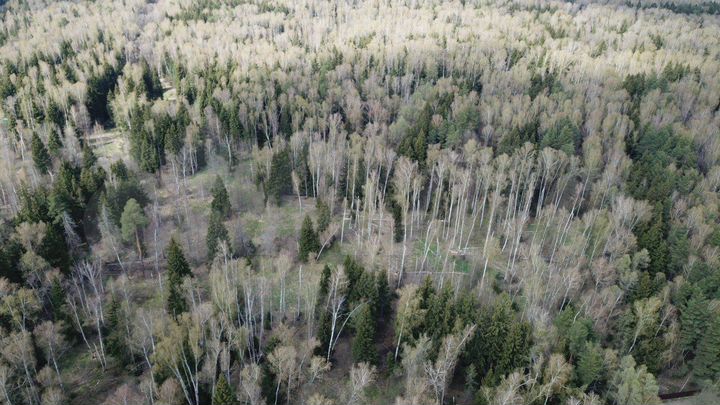 Участок 8 сот. (ИЖС)