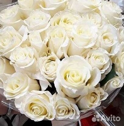 51 Роза, Букеты Цветы Розы 25 101 501 1001