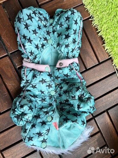 Одежда для маленьких собак