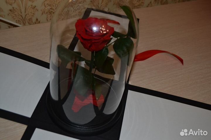 Розы в колбе