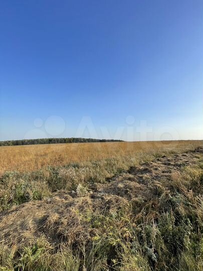 Участок 67,6 га (СНТ, ДНП)