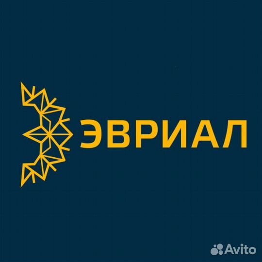 Стример эвриал. Эвриал. Эвриал Зеленоград. Эвриал Зеленоград руководители.