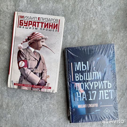 Книги Михаила Елизарова