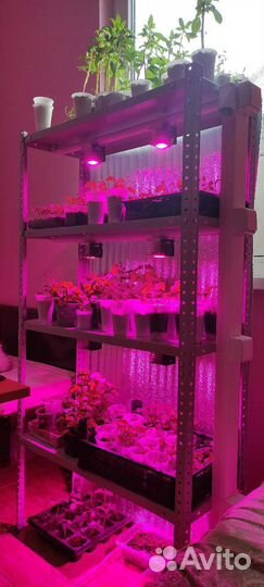 Стеллаж для рассады, фитостеллаж для растений