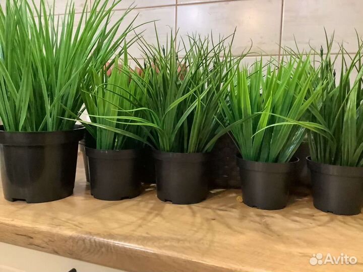 Искусственная трава осока растения IKEA Икея фейка