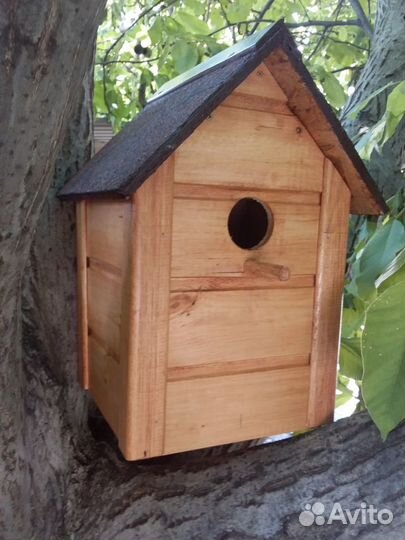Кормушка, скворечник