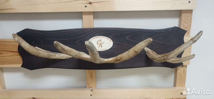 Вешалка из рога лося