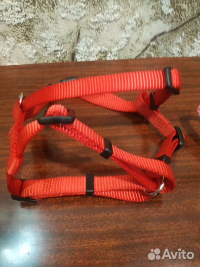 Шлейка и поводок для маленьких и средних животных