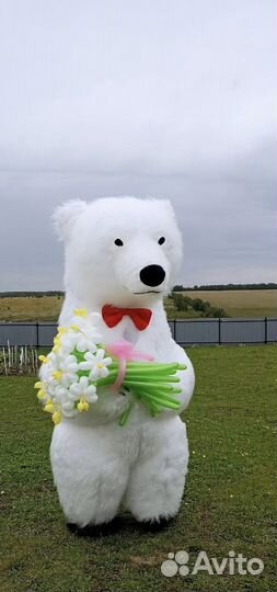 Белый мишка поздравление в Туле