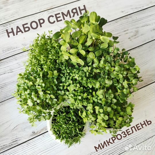 Набор семян - микрозелень 7 видов