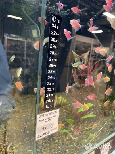 Цифровой термомерт в аквариум