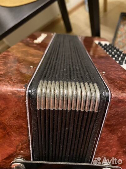 Гармонь шуйская Чайка 2