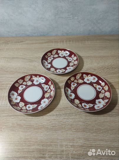 Блюдца луноцвет