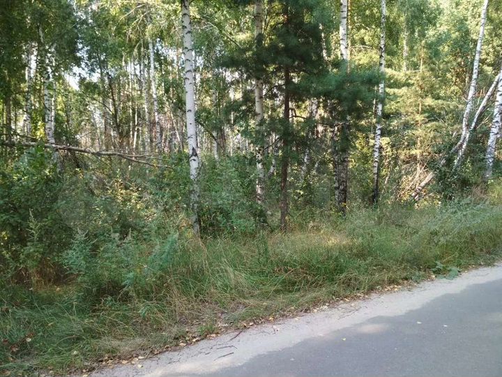 Участок 4 га (СНТ, ДНП)