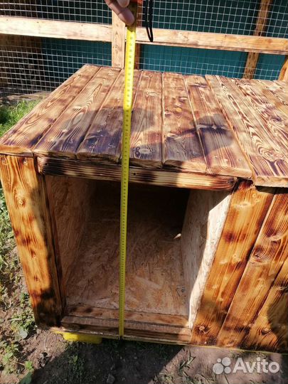 Собачья будка