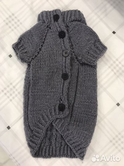 Одежда для собак