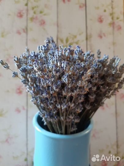 Лаванда сухоцвет, букеты-комплименты