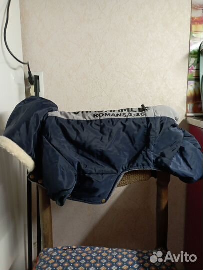 Зимние собачьи костюмы комплект