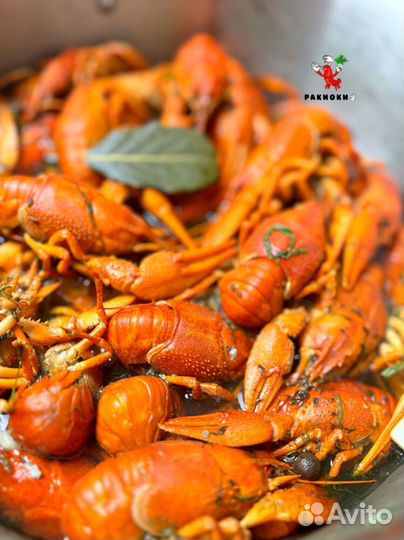 Раки для вашей компании